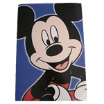 Mickey mouse notebook
