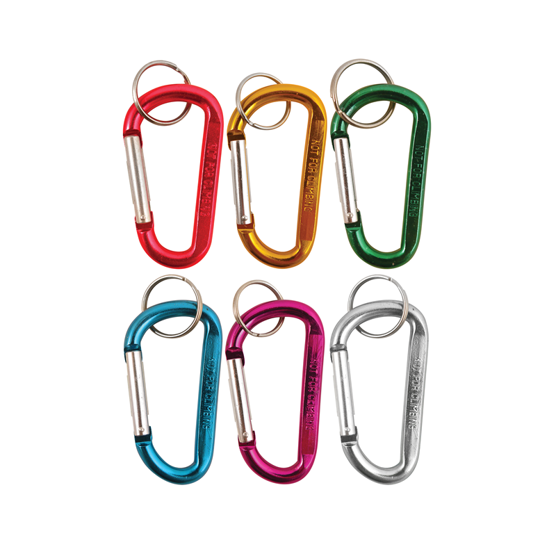 Carabiner Key Ring