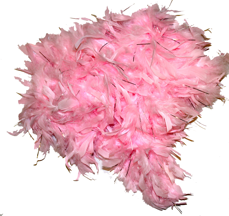 Feather Boas for princess party bags